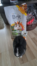 BRIT Animals Rabbit Adult Complete 3kg triušiams