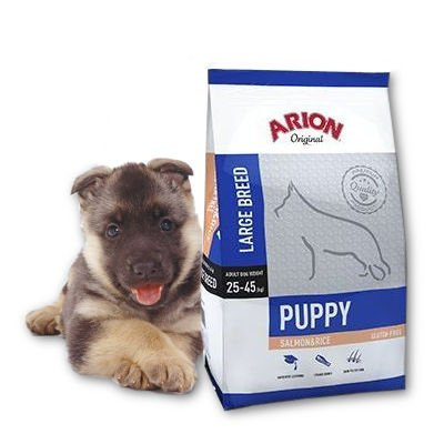 arion salmon puppy