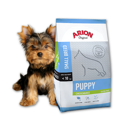 arion puppy lamb and rice