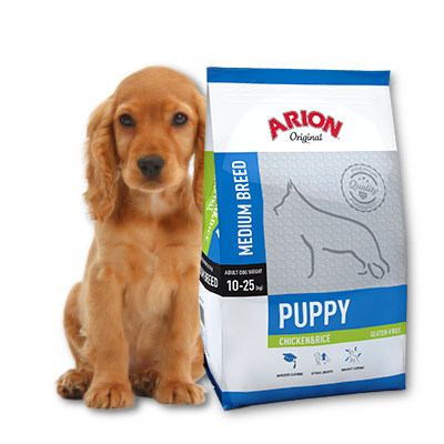 arion puppy lamb and rice