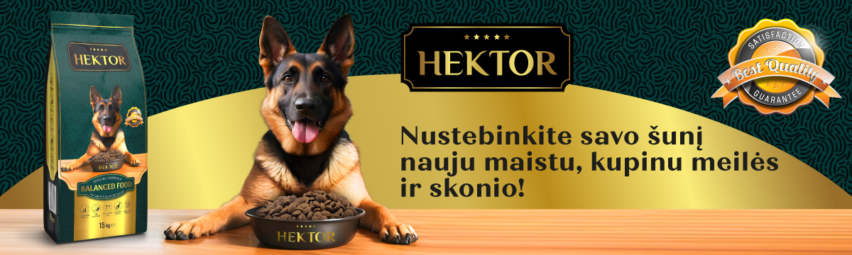 Hektor - 19.03.2025