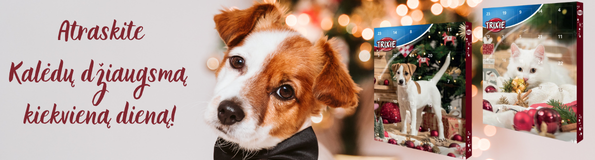 Advento kalendorius 3.11.2025