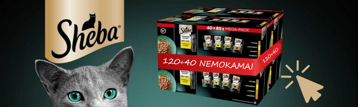 Sheba 120+40 3.11.2025