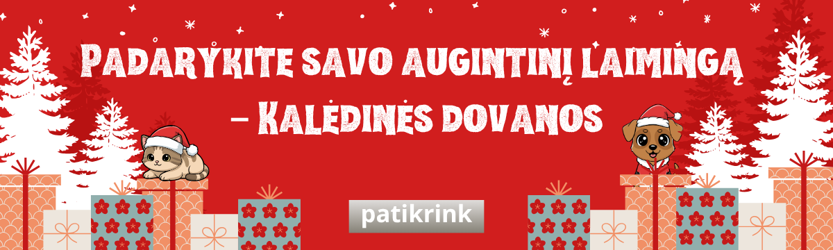 Kalėdinės dovanos