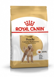 ROYAL CANIN Poodle Adult 1,5kg + STAIGMENA ŠUNUI