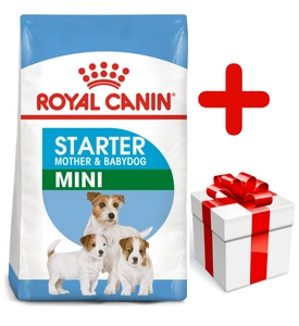 ROYAL CANIN Mini Starter Mother & Babydog 8kg + STAIGMENA ŠUNUI