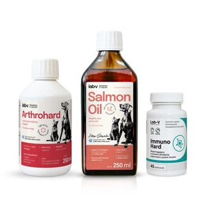 Lab-v Dovanų rinkinys šunims – sveiki sąnariai, imunitetas ir blizgus kailis