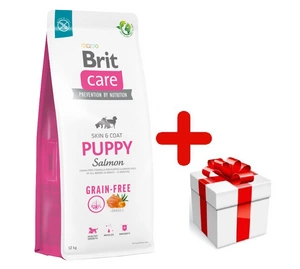 BRIT CARE Dog Grain-free Puppy Salmon 12kg + STAIGMENA ŠUNUI