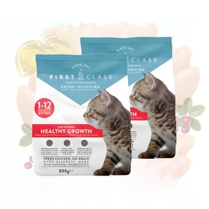 First Class Kitten be grūdų sausas kačių maistas su šviežia vištiena, 2x800 g