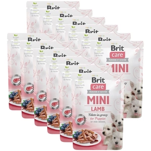 BRIT CARE Mini ėrienos filė padaže šuniukui 12x85g