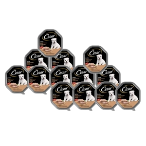 CESAR Junior padėklas 14x150 g – visavertis šlapias maistas šuniukams, su kalakutiena ir veršiena, paštete