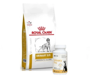 ROYAL CANIN Urinary S/O Moderate Calorie UMC 20 12kg + LAB-V Urinary Dog - Pagalba šunims sergant šlapimo takų infekcija 45 kapsulės