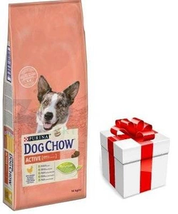 PURINA Dog Chow Adult Active Chicken 14kg + STAIGMENA ŠUNUI
