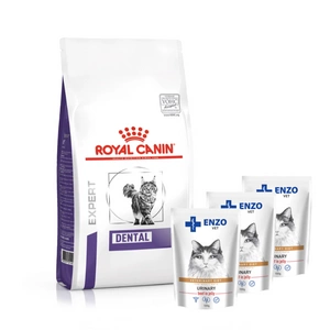 ROYAL CANIN Dental S/O DSO 29 3kg + ENZO VET šlapalas su jautiena želė katėms 3x100g