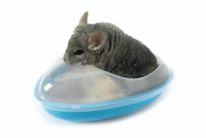 SAVIC Maudymosi narvelis šinšiloms 26x23x15cm