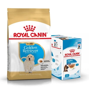 ROYAL CANIN Golden Retriever Puppy 12 kg + drėgnas maistas NEMOKAMAI!