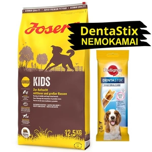JOSERA Kids 12,5 kg + DentaStix NEMOKAMAI