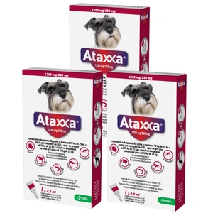 3x KRKA Ataxxa 1250 mg/250 mg lašai šunims, sveriantiems nuo 10 kg iki 25 kg