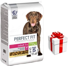 "Perfect Fit™" - sausas visavertis pašaras suaugusiems vidutinių ir didelių veislių šunims, gausus vištienos 11,5 kg + Staigmena Šunui