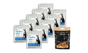 Hydro-Vet Dog - dietinis pašarų mišinys šunims, skatinantis atsigavimą po operacijos 10x22g + Fitmin skanėstas NEMOKAMAI