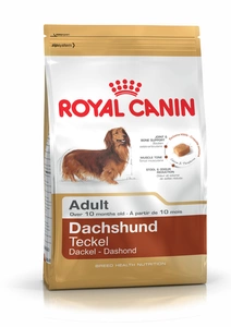 ROYAL CANIN Dachshund Adult 7,5kg + STAIGMENA ŠUNUI
