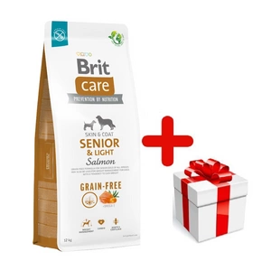 BRIT CARE Dog Grain-free Senior & Light Salmon 12kg + STAIGMENA ŠUNUI