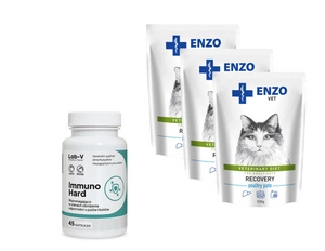 ENZO VET Recovery katėms 3x100g + LAB-V Immuno Hard 45 kapsulės
