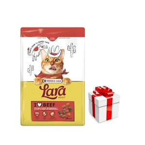 VERSELE-LAGA Lara Adult Beef 1.9kg - Suaugusių kačių ėdalas su jautienos skoniu + Staigmena katei