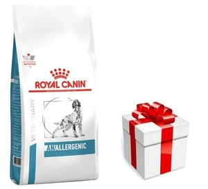 ROYAL CANIN Anallergenic AN18 3kg + STAIGMENA ŠUNUI