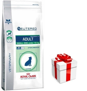ROYAL CANIN Neutered Adult Small Dog Weight&Dental 3,5kg + STAIGMENA ŠUNUI