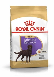ROYAL CANIN Labrador retriever Sterilised Adult 12kg + STAIGMENA ŠUNUI