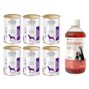 4Vets šunims virškinimo traktas 6x400g + LAB V Lašišų aliejus šunims ir katėms 500ml