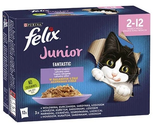 FELIX Fantastic Junior su galaretėmis;12x85g