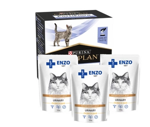 PURINA PVD FortiFlora Cat 30 paketėlių + 3x ENZO VET šlapalas su vištiena padaže katėms 100g