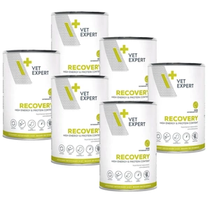VETEXPERT  Veterinary Diet Recovery 6x400g