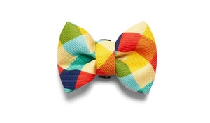 ZEE DOG Phantom Maža šuns peteliškė