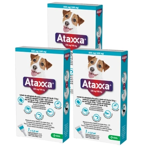 3x KRKA Ataxxa 500 mg/100 mg lašai šunims, sveriantiems nuo 4 kg iki 10 kg