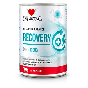 Disugual Veterinary RECOVERY Lamb drėgnas ėrienos ėdalas šunims (suaugusiems) 400g