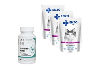 ENZO VET Sterilizuota dieta sterilizuotoms katėms su kalakutiena želė 3x100g + LAB-V Immuno Hard  45 kapsulės