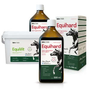 Lab-v Horse Care Box – Dovanų rinkinys arkliams