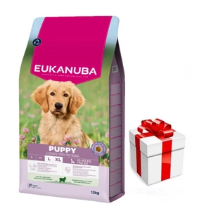 EUKANUBA Puppy&Junior Lamb&Rice Large Breeds 12kg + Staigmena Šunui
