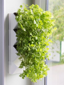 AQUAEL sieninis herbariumas Versa Garden Herbs