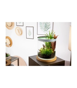 Zolux Akvariumas Cilindro formos 12 l