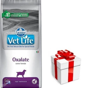 FARMINA Vet Life Dog Oxalate (Urinary) 12kg + STAIGMENA ŠUNUI