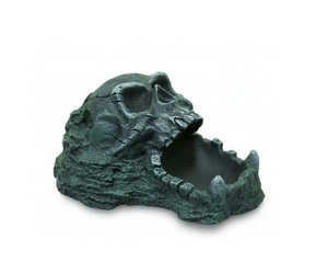 Terra Natura kaukolės dubuo 20 cm