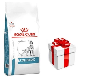ROYAL CANIN Anallergenic AN18 8 kg + STAIGMENA ŠUNUI