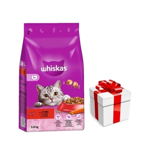 WHISKAS Adult 3,8 kg - sausas visavertis pašaras suaugusioms katėms su gardžia jautiena + Staigmena katei