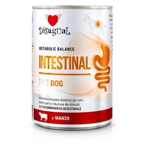 Disugual Veterinary drėgnas šunų maistas INTESTINAL Beef (suaugusiems) 400g