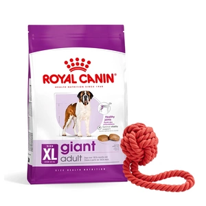 ROYAL CANIN Giant Adult 15 kg sauso ėdalo suaugusiems šunims, nuo 18/24 mėn., didžiosioms veislėms + nemokamas kamuolys šuniui