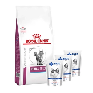 ROYAL CANIN Renal Special Feline RSF 26 4kg + ENZO VET Renal su jautiena želė katėms 3x100g